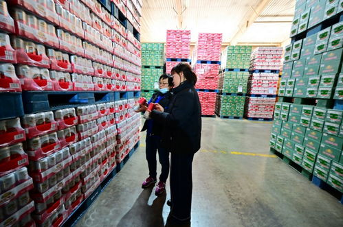 餐桌上的食品安全無小事,走進(jìn)沈陽(yáng)綠色工廠,探訪神秘生產(chǎn)線